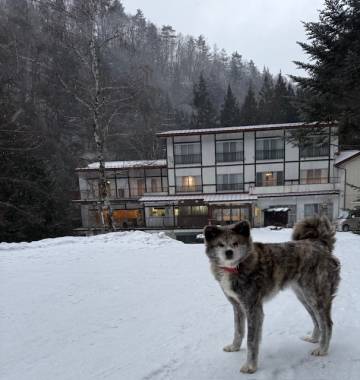 雪の舞う中に女将と