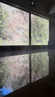 温泉からの景色